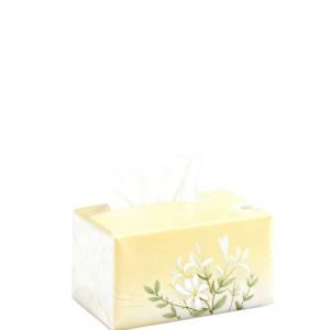 Eco-friendly, Ultra-soft Bamboo Facial Tissues