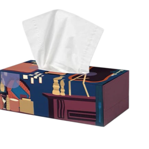 Ultra-Soft 100% Virgin Wood Pulp Facial Tissues (Boxed)
