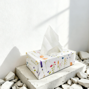 Wood Pulp Boxed Facial Tissues